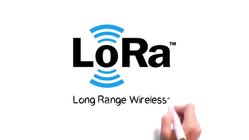 What are LoRa and LoRaWAN?
