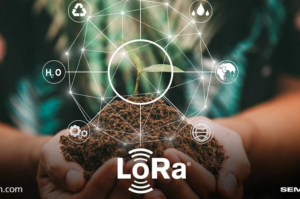 Cinq applications LoRa pour résoudre des problèmes environnementaux